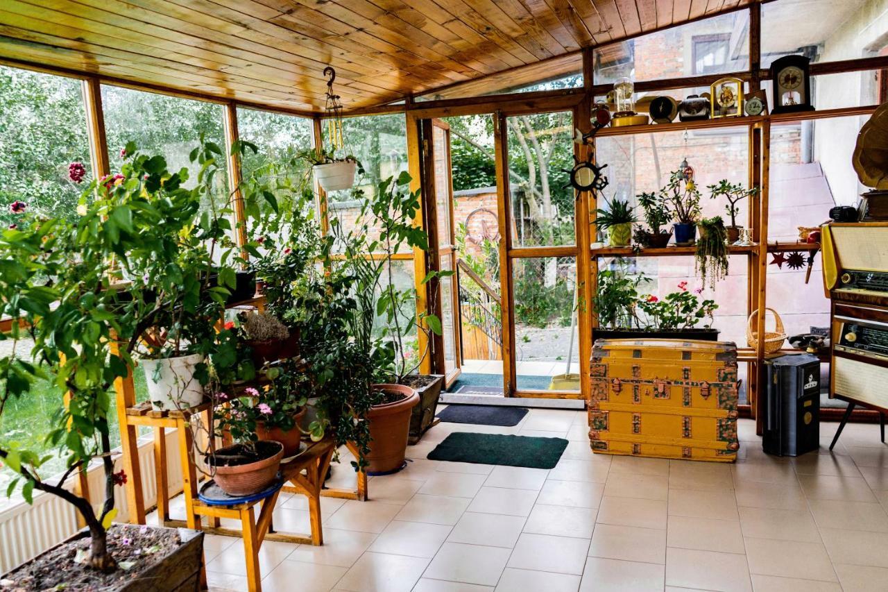 Hostel Villa Roma Lvov Exteriér fotografie